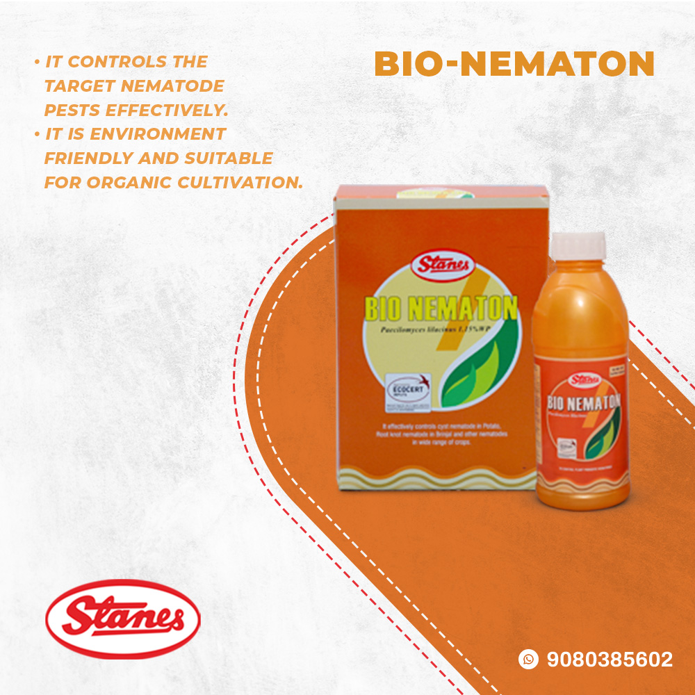 Bio Nematon Image